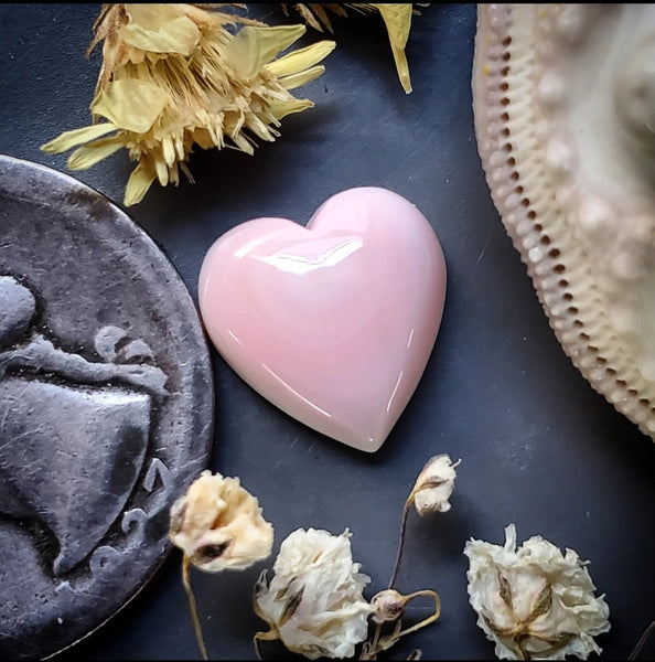 Bahamian Pink Conch Shell Heart Cabochon