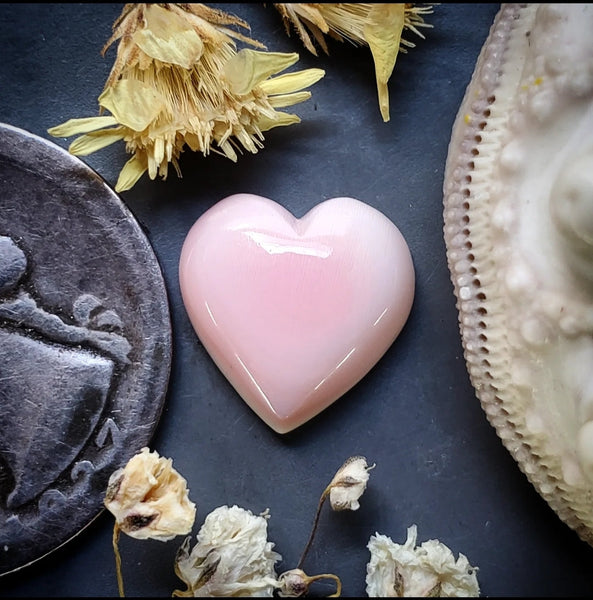 Bahamian Pink Conch Shell Heart Cabochon