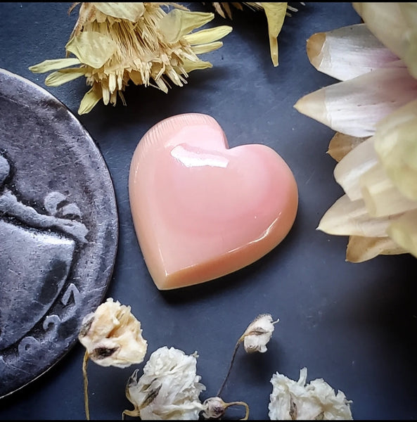 Bahamian Pink Conch Shell Heart Cabochon