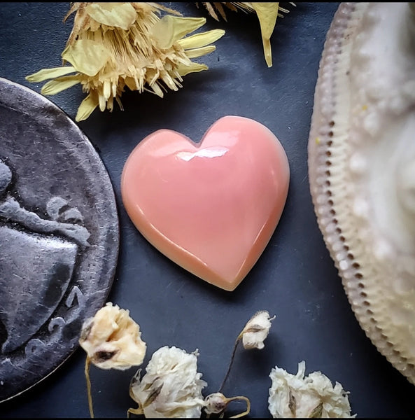 Bahamian Pink Conch Shell Heart Cabochon