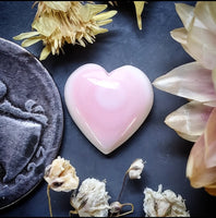 Bahamian Pink Conch Shell Heart Cabochon