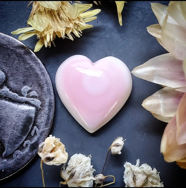 Bahamian Pink Conch Shell Heart Cabochon