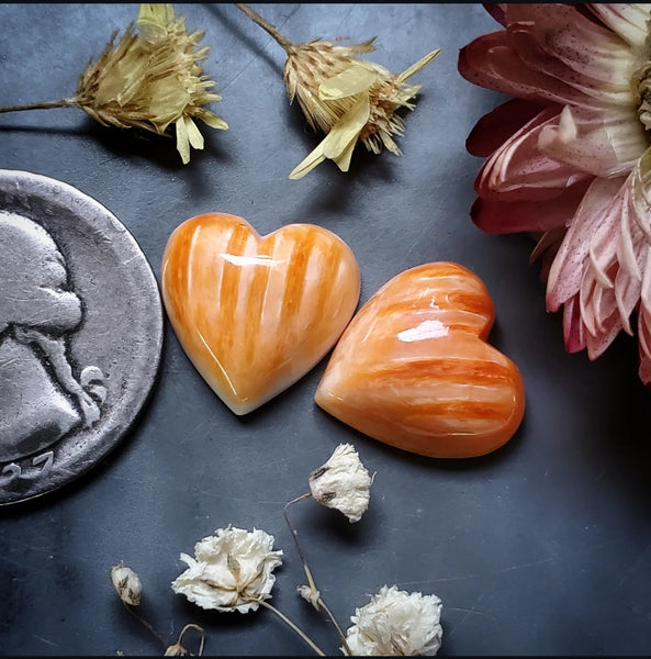 Spiny Oyster Heart Pair Cabochon