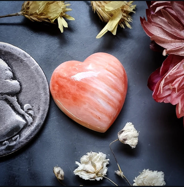 Spiny Oyster Heart Cabochon