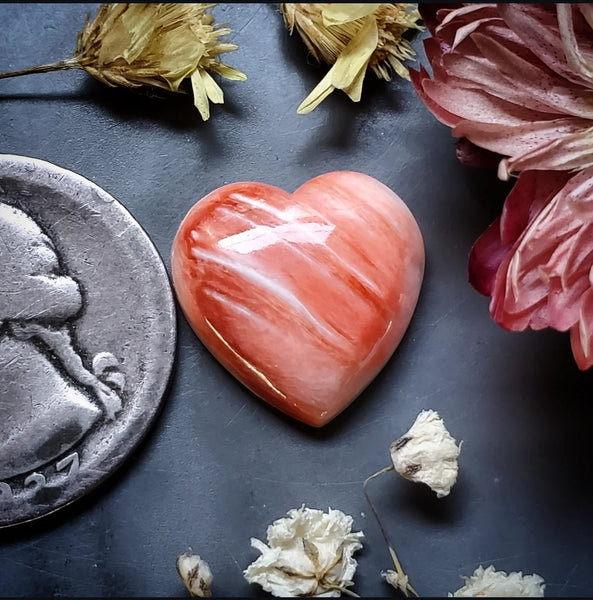Spiny Oyster Heart Cabochon