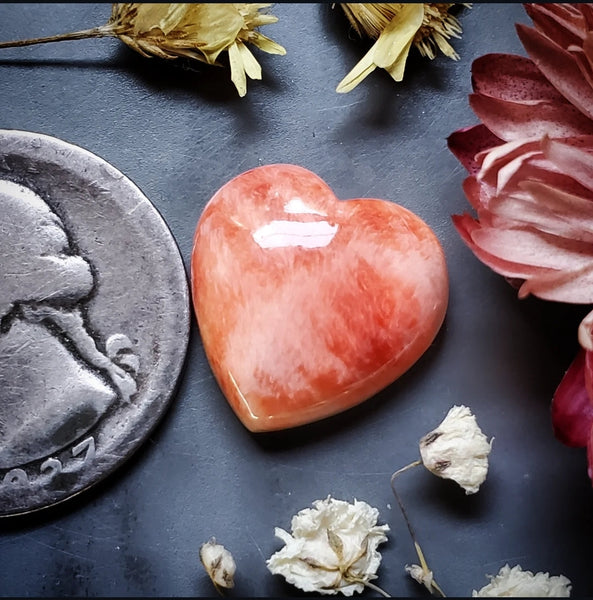 Spiny Oyster Heart Cabochon