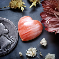 Spiny Oyster Heart Cabochon