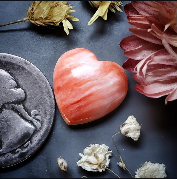 Spiny Oyster Heart Cabochon