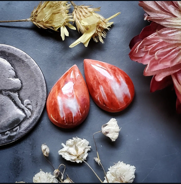 Spiny Oyster Drop Earring Pair Cabochon
