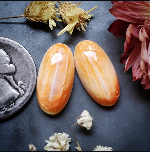 Spiny Oyster Oval Pair Cabochon