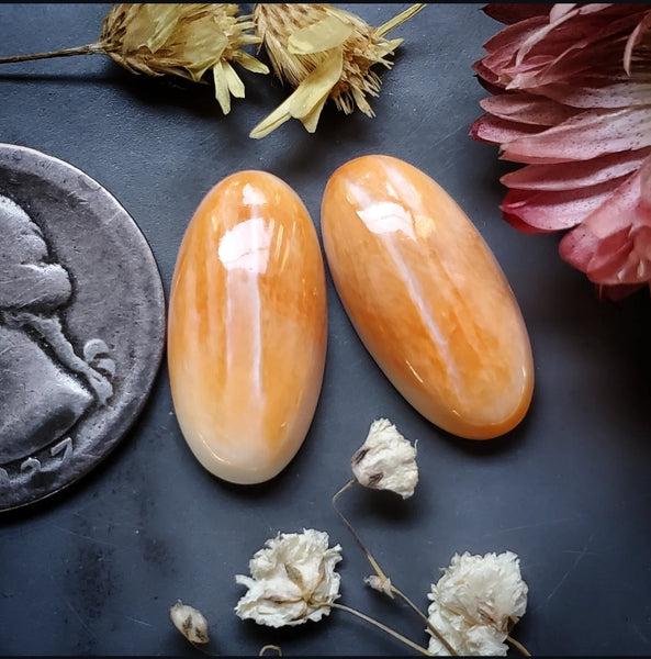 Spiny Oyster Oval Pair Cabochon
