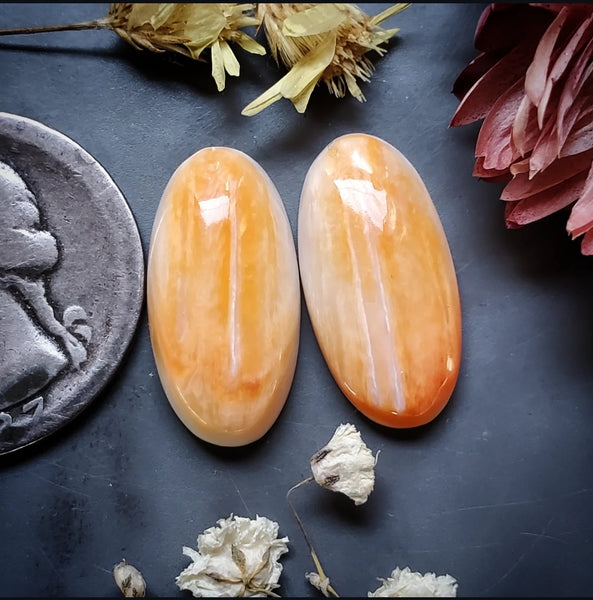 Spiny Oyster Oval Pair Cabochon