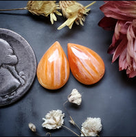 Spiny Oyster Drop Pair Cabochon