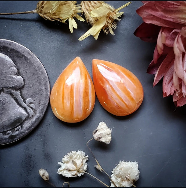 Spiny Oyster Drop Pair Cabochon