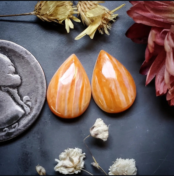 Spiny Oyster Drop Pair Cabochon