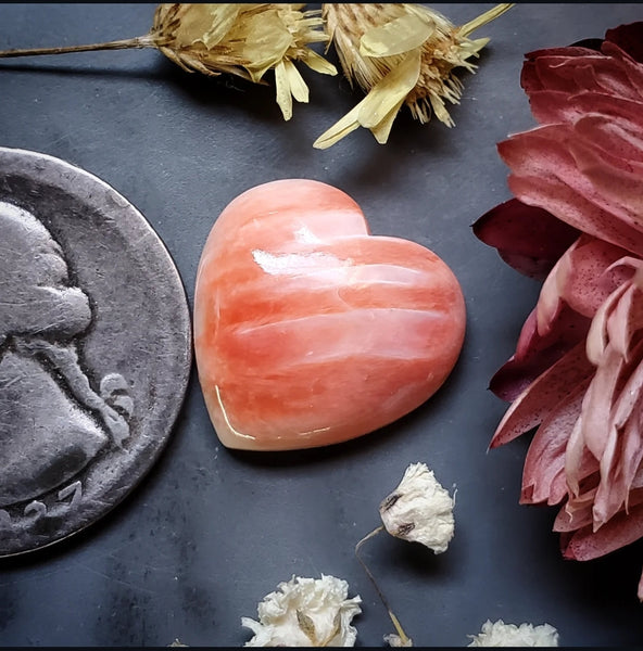 Spiny Oyster Heart Cabochon