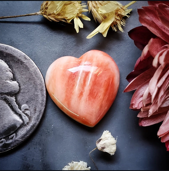 Spiny Oyster Heart Cabochon