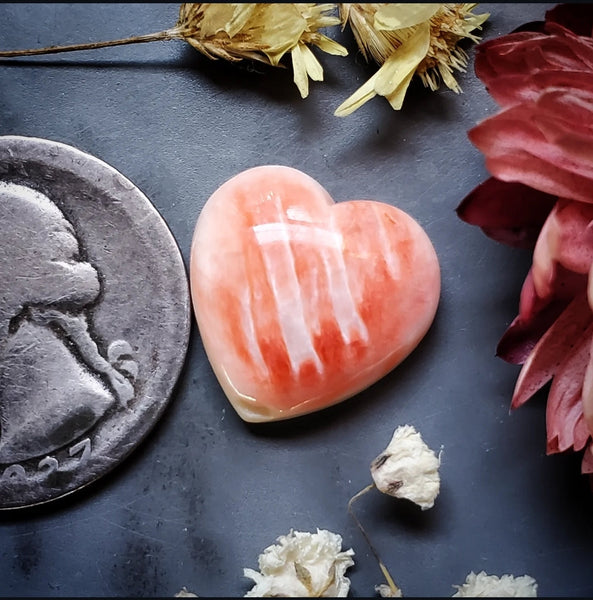 Spiny Oyster Heart Cabochon