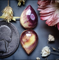 Spiny Oyster Drop Pair Cabochon