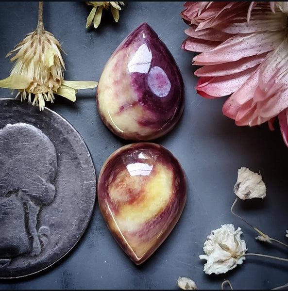 Spiny Oyster Drop Pair Cabochon