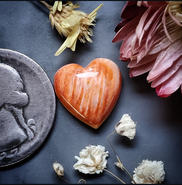 Spiny Oyster Heart Cabochon