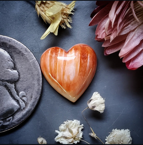 Spiny Oyster Heart Cabochon