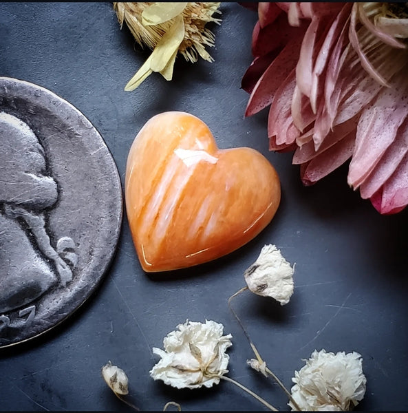 Spiny Oyster Heart Cabochon