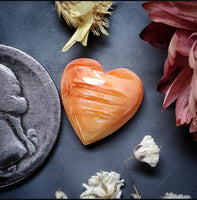 Spiny Oyster Heart Cabochon