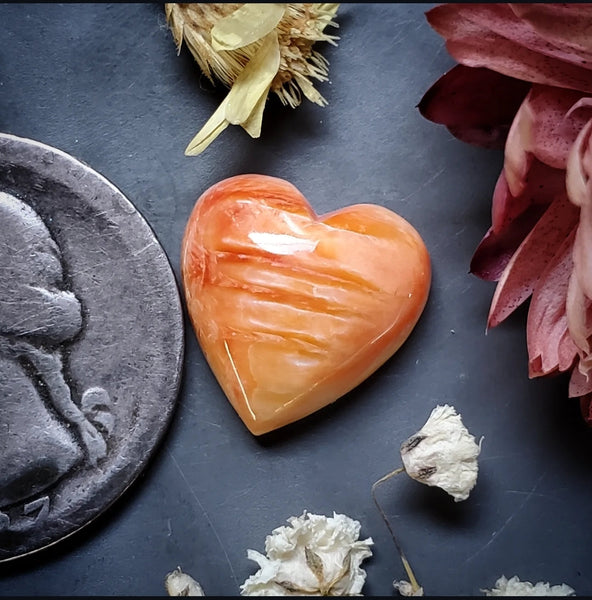 Spiny Oyster Heart Cabochon