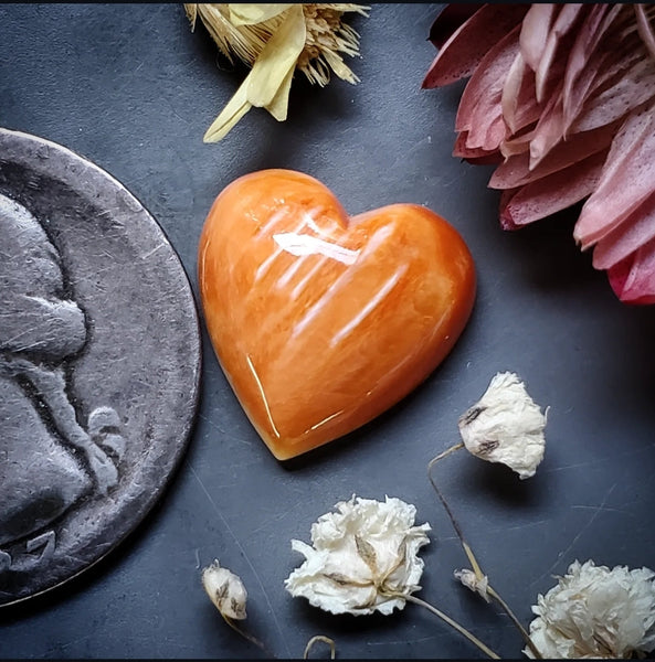 Spiny Oyster Heart Cabochon
