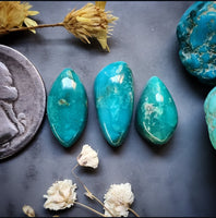 Fox Turquoise Multi Stone Set Cabochon