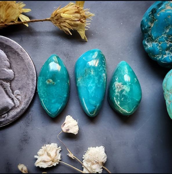 Fox Turquoise Multi Stone Set Cabochon