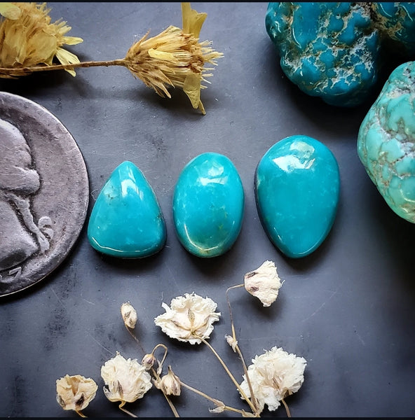 Fox Turquoise Multi Stone Set Cabochon