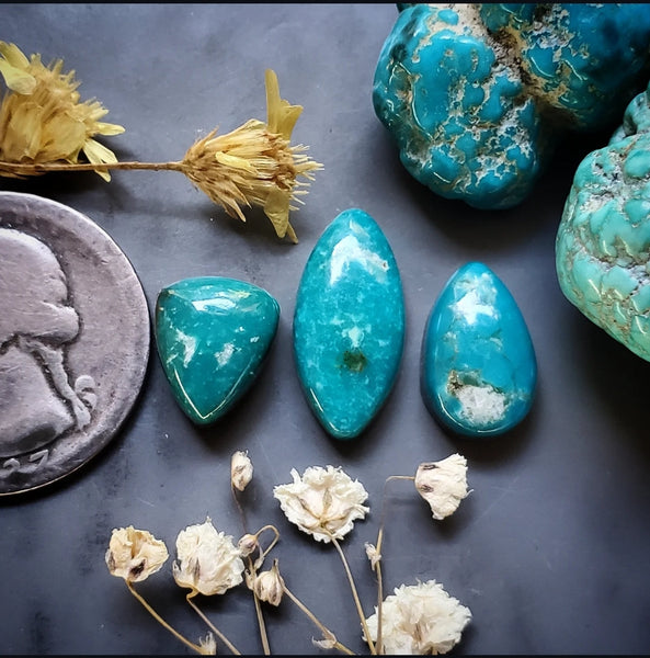 Fox Turquoise Multi Stone Set Cabochon