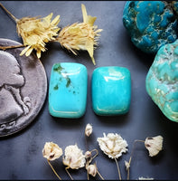 Fox Turquoise Multi Stone Set Cabochon