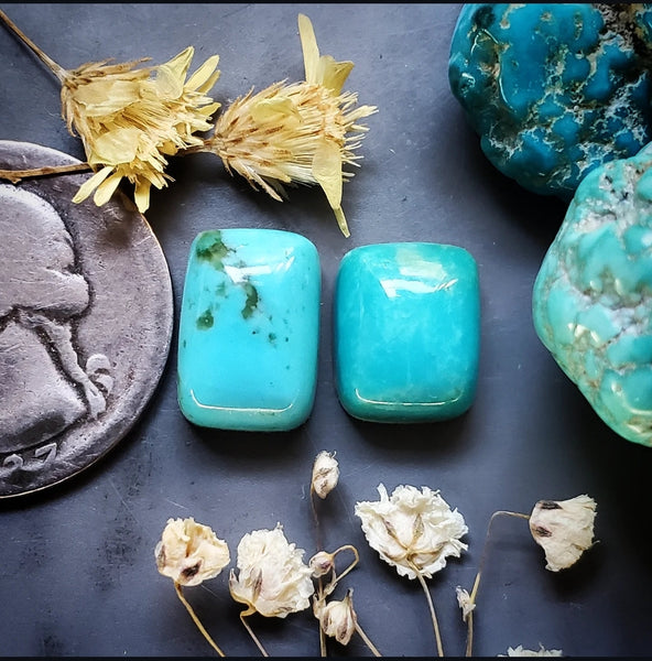 Fox Turquoise Multi Stone Set Cabochon