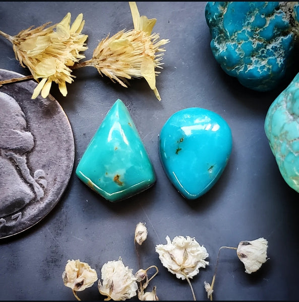 Fox Turquoise Multi Stone Set Cabochon