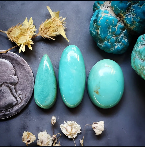 Campitos Turquoise Oval Drop Set Cabochon