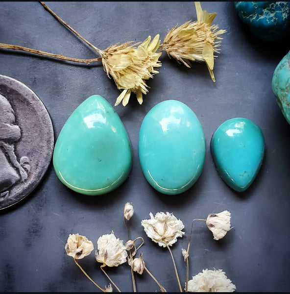 Campitos Turquoise Oval Drop Set Cabochon