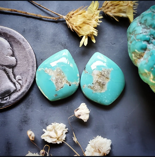 Campitos Turquoise Petal Set Cabochon