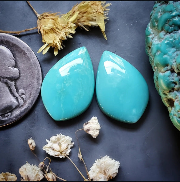 Campitos Turquoise Petal Set Cabochon