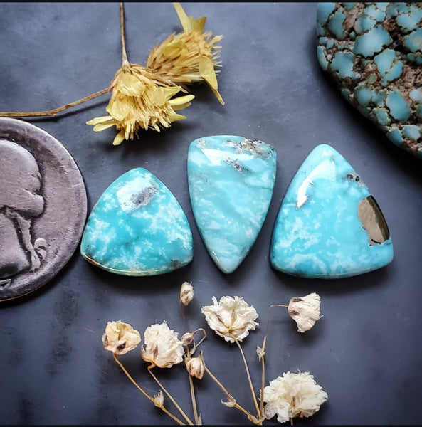 Campitos Turquoise Multi Stone Set Cabochon