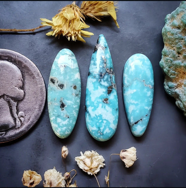 Campitos Turquoise Drop Oval Set Cabochon
