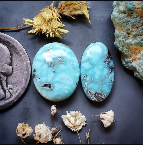 Campitos Turquoise Oval Set Cabochon
