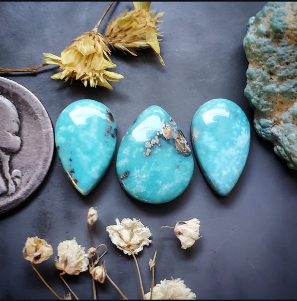 Campitos Turquoise Drop Set Cabochon