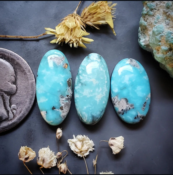 Campitos Turquoise Oval Set Cabochon