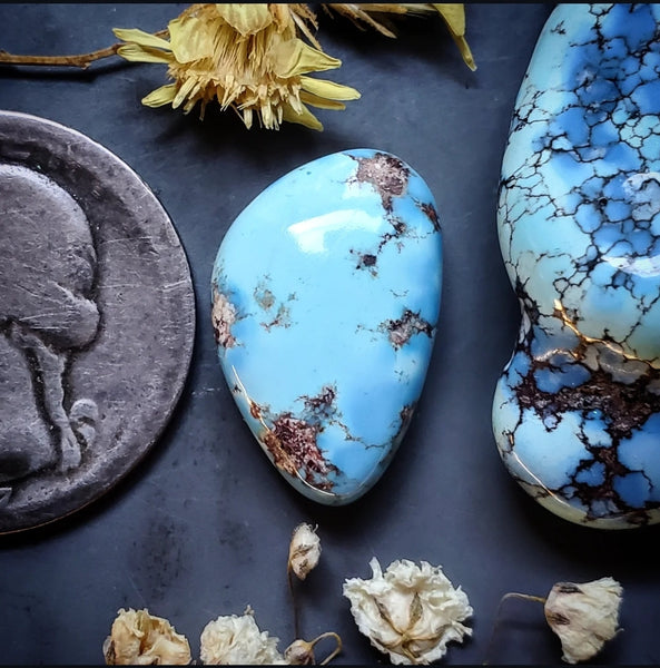 Golden Hills Turquoise Freeform Cabochon