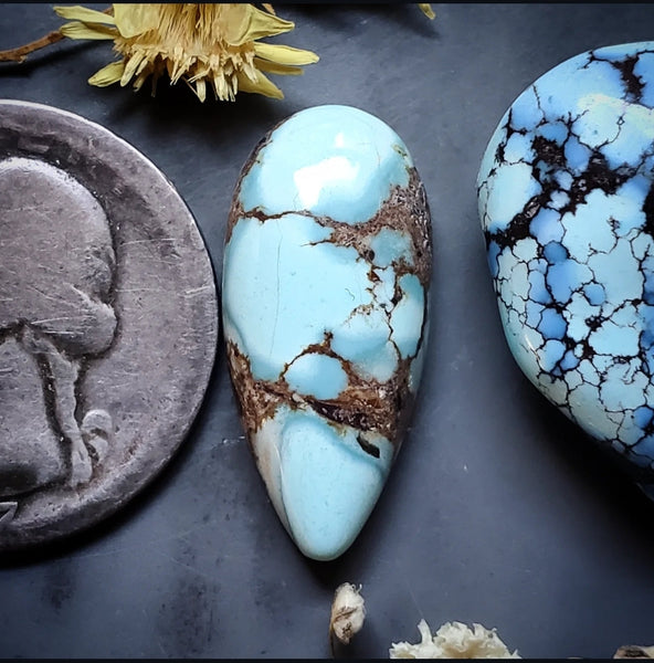 Golden Hills Turquoise Drop Cabochon