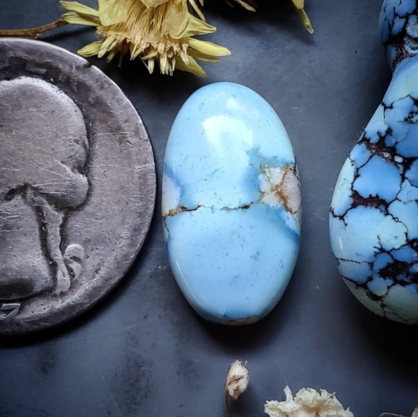 Golden Hills Turquoise Oval Cabochon
