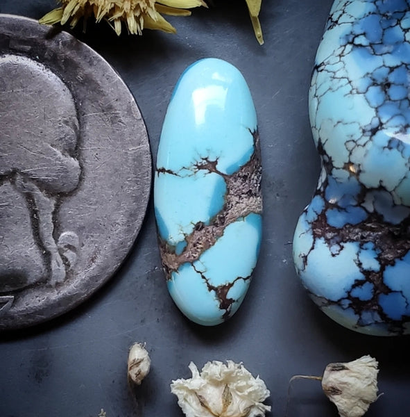 Golden Hills Turquoise Oval Cabochon
